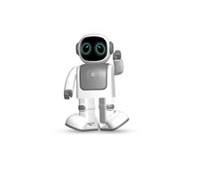 Robot de pie, vista frontal