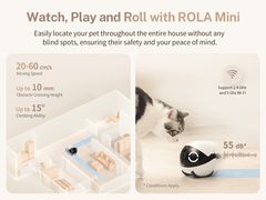 Rola Mini con un gato, mapa de recorrido de la casa